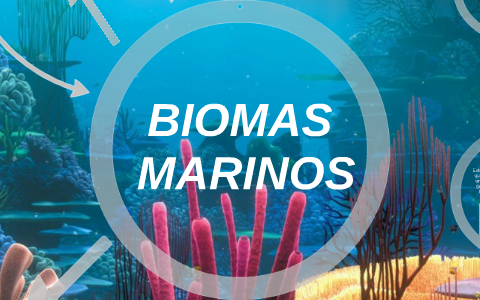 BIOMAS MARINOS by silp cgpr on Prezi