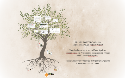 PROYECTO FIN DE GRADO by Luisa Pérez Pérez on Prezi