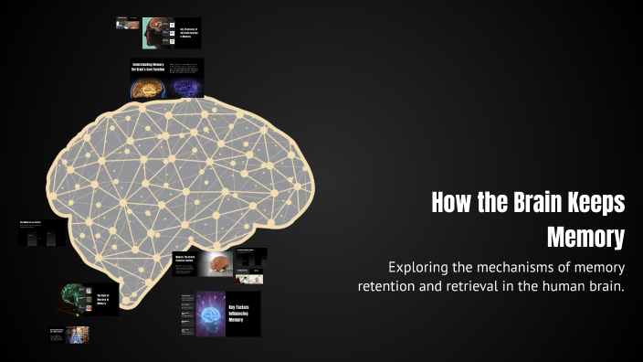 How the Brain Keeps Memory by Today San on Prezi