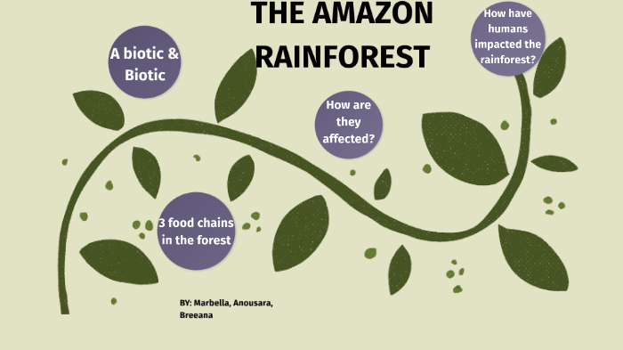 the amazon rainforest by Marbella Ibrahim on Prezi