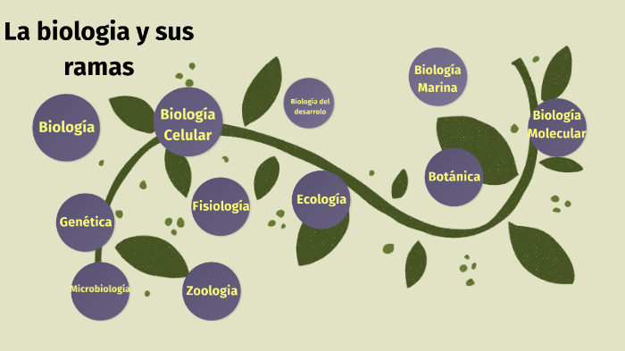 La biología y sus ramas by Raúl García on Prezi