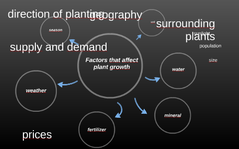 Factors that affect plant growth by Katie Sandberg on Prezi