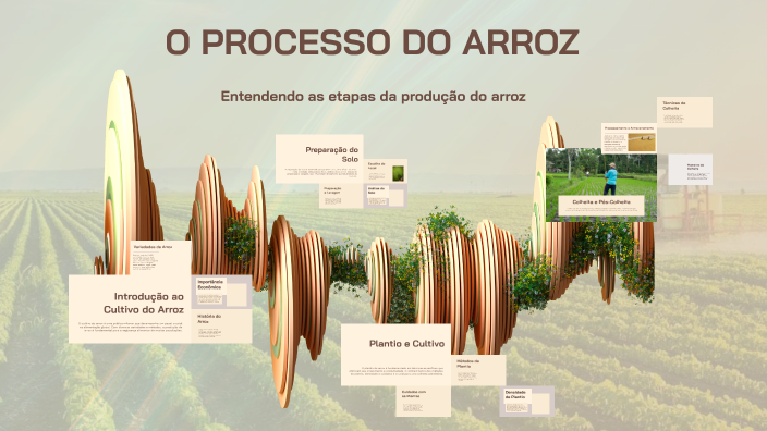 O PROCESSO DO ARROZ by kauan souza on Prezi
