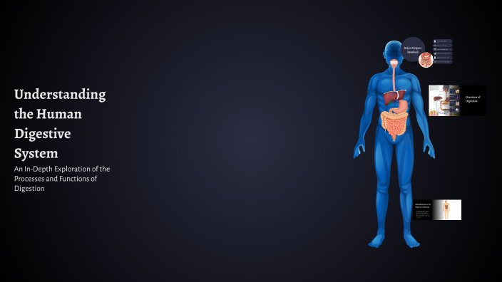 Understanding the Human Digestive System by salah uddin on Prezi