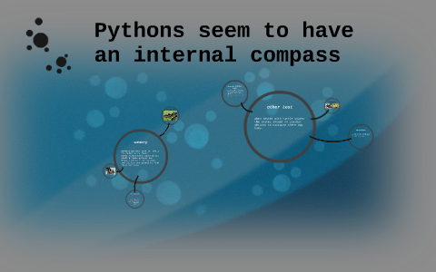 Pythons seem to have an internal compass by kyden poulsen on Prezi