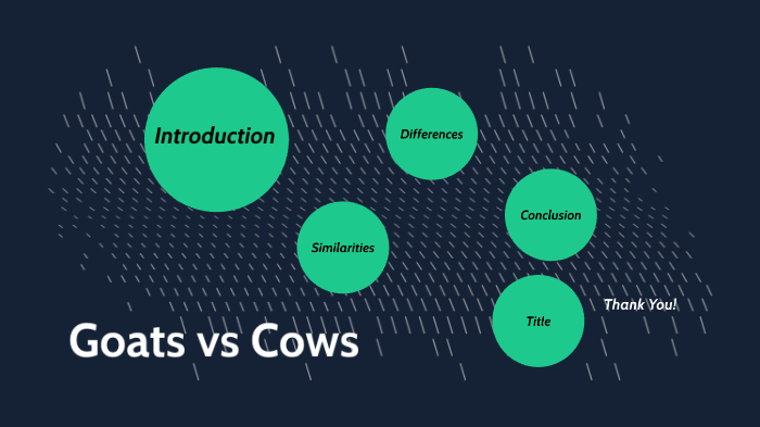 Goats vs Cows by Elizabeth Kutter on Prezi