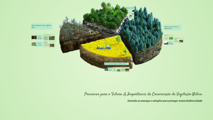 Preservar para o Futuro: A Importância da Conservação da Vegetação ...