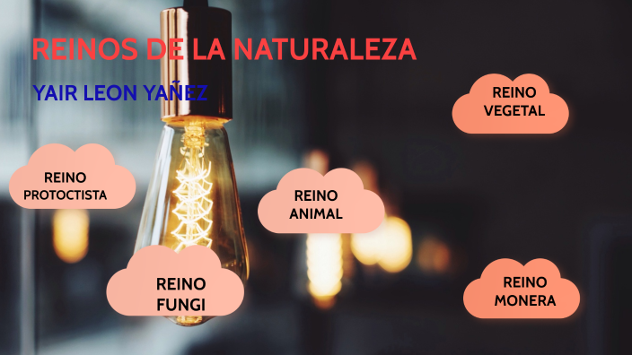 REINOS DE LA NATURALEZA by yair leon yañez on Prezi
