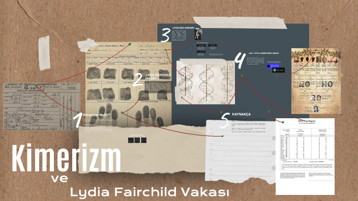 Kimerizm by Zeynep Coşkun on Prezi