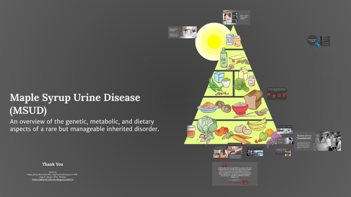 Msud Overview Understanding Maple Syrup Urine Disease (MSUD) by Nicholas Abate on Prezi