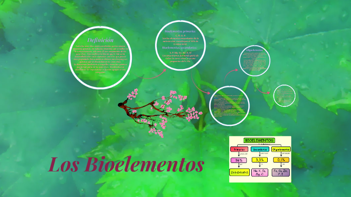 Los Bioelementos by Nenita Karina Castillo on Prezi