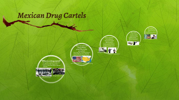 What Is A Drug Cartel? (your Definition Must Be Original) By Sarah Norman