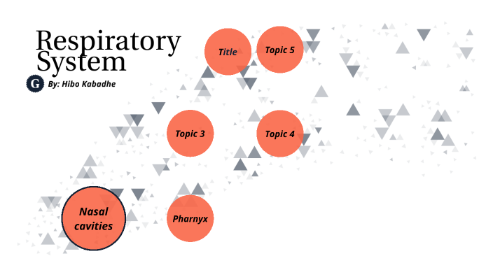 Respiratory System by Hibo Kabadhe on Prezi