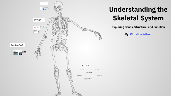 Understanding the Skeletal System by Christina Wilson on Prezi