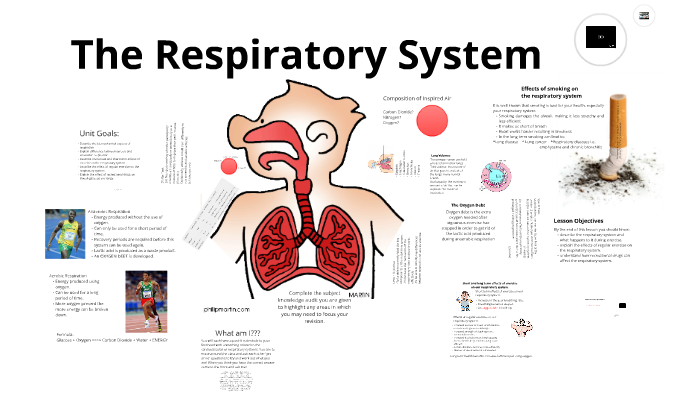 Edexcel GCSE The Respiratory System by Hannah Paice