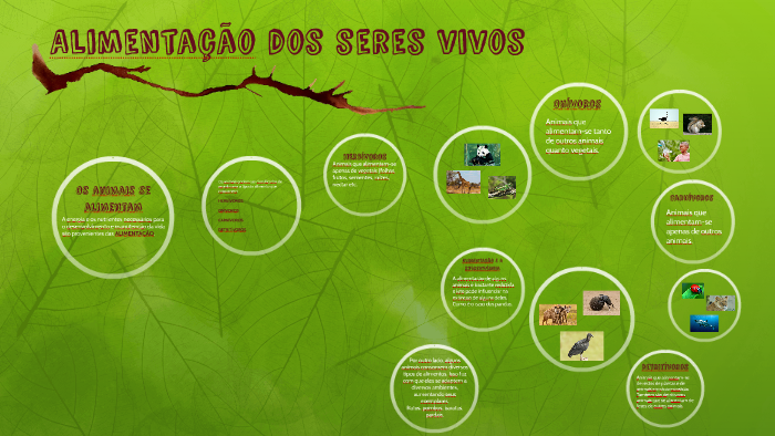 Alimentação dos seres vivos by Viviane Scherer