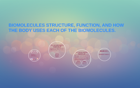 BIOMOLECULES STRUCTURE, FUNCTION, AND HOW THE BODY USES EACH by Brookie ...