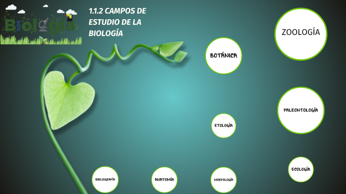 CAMPOS DE ESTUDIO DE LA BIOLOGÍA by Víctor Resendíz on Prezi