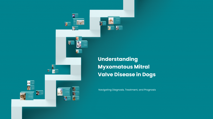 Navigating Myxomatous Mitral Valve Disease by kristal griffin on Prezi