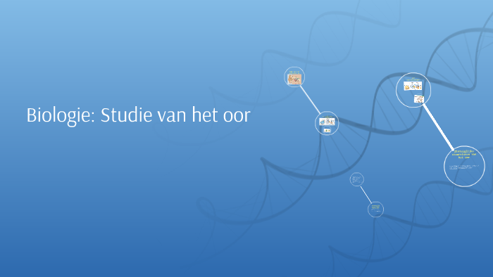 Biologie: Studie van het oor by Jens Heeren on Prezi