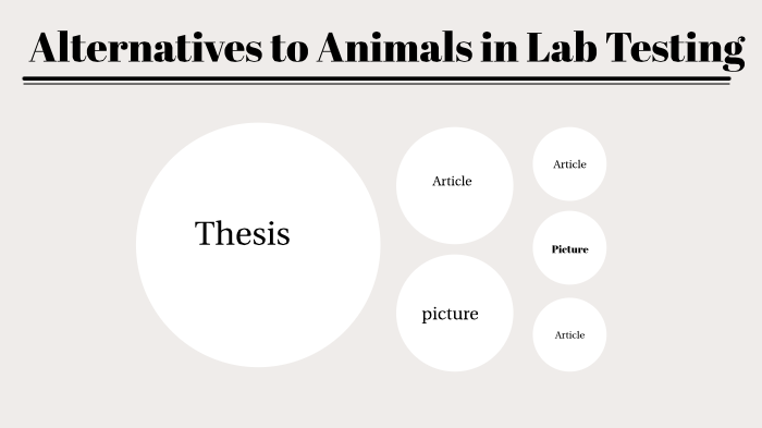 Alternatives To Animals In Lab Testing By Jenna Manney