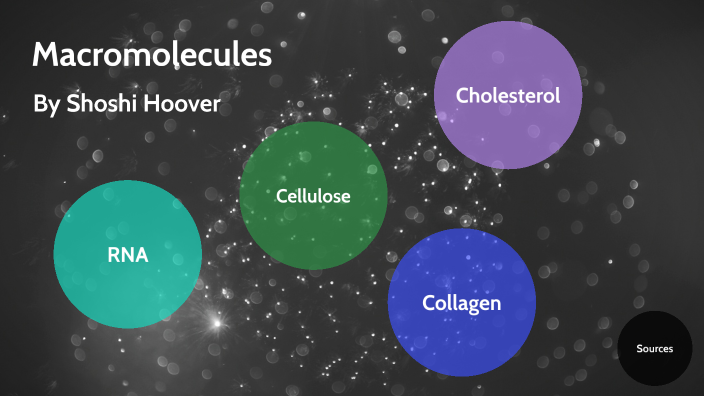 Macromolecules Project By Shoshana Hoover