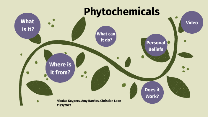 Phytochemicals by Nicolas Kuypers on Prezi