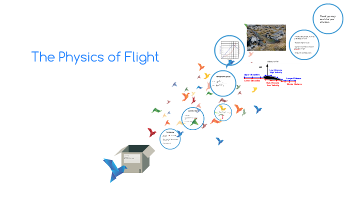 Understanding The Physics Of Flight