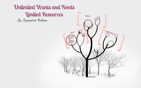 what is the meaning of unlimited needs and wants