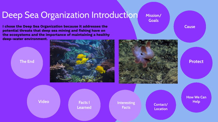 Deep Ocean Presentation by Valentina De Plano on Prezi