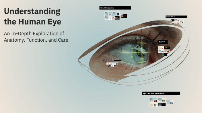 Understanding the Human Eye by Hélvia Mendes on Prezi