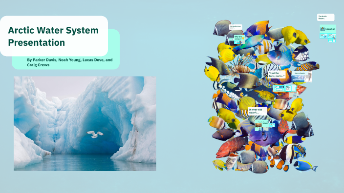 Arctic Ocean Presentation by Student Parker Davis on Prezi