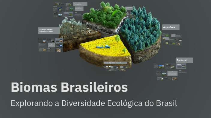 Biomas Brasileiros by Érica Brugliato on Prezi
