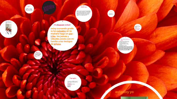 mi proyecto de vida by lesly michell orozco caicedo on Prezi