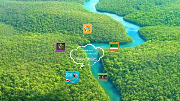region amazonica by YULIANA ANDREA GONZALEZ MIRANDA on Prezi
