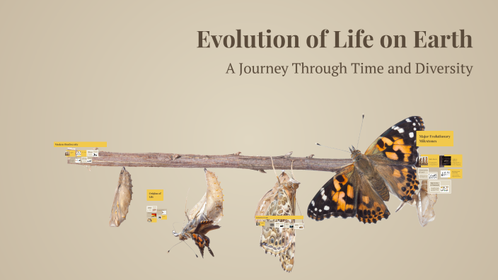 Evolution of Life on Earth by lill tutunjian on Prezi