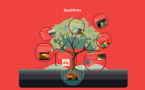 what is a bushfire by on Prezi
