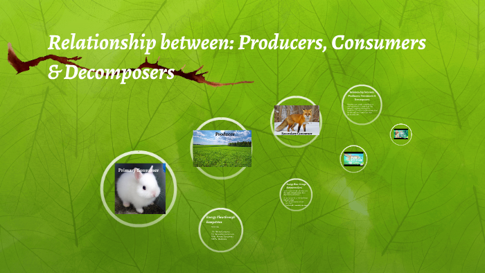 what is the relationship between producers and consumers