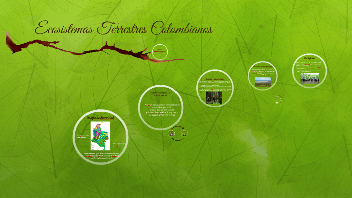 Ecosistemas Terrestres Colombianos by Gabriela Nieto on Prezi