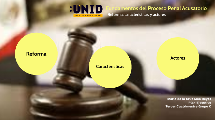 Fundamentos Del Proceso Penal Acusatorio Unid prezi.com