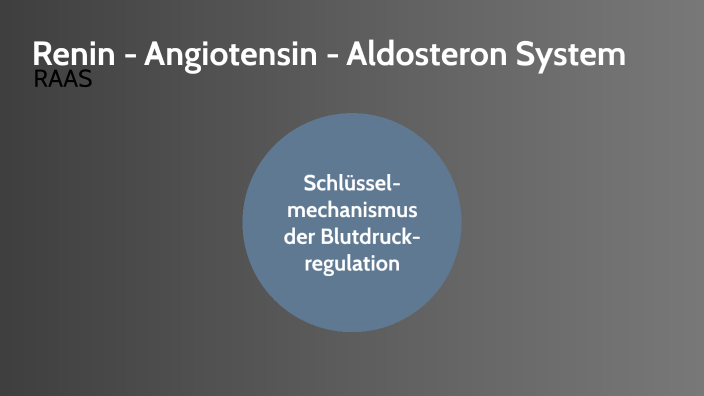 Renin Angiotensin Aldosteron System Einfach Erklärt