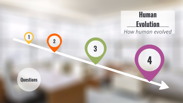 human evolution by Yifan Wang on Prezi