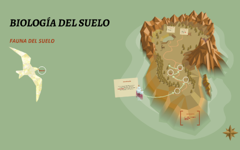 BIOLOGÍA DEL SUELO by laura camila arroyo contreras on Prezi