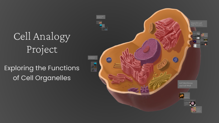 Cell Analogy Project by Jasmine Schley on Prezi