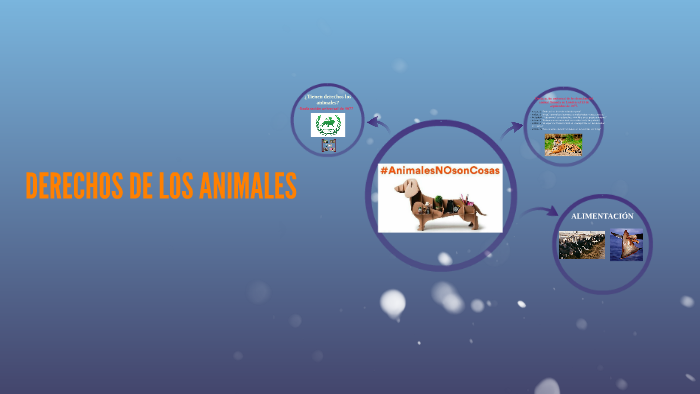 Derechos de los animales by ALBA BLANCO SANCHEZ on Prezi