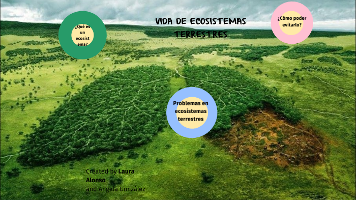 vida de los ecosistemas by ángela gonzález lobo on Prezi