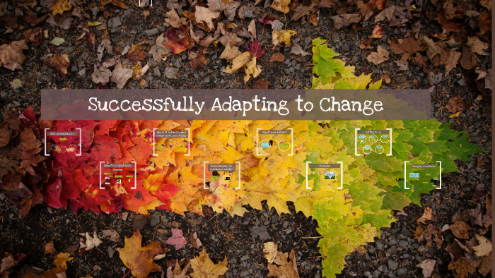 adaptability to change