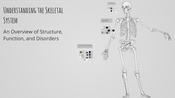 Understanding the Skeletal System by Kushal on Prezi