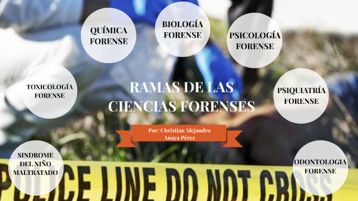 Ramas de las Ciencias Forenses by Christian Anaya on Prezi