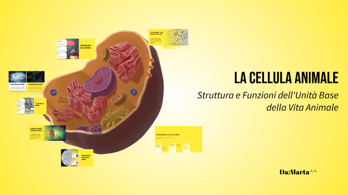 La Cellula Animale by marta capocchiano on Prezi